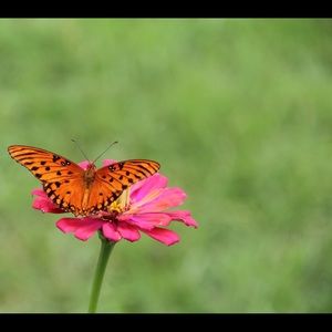 Meet your Posher, William